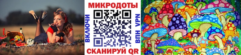 Галлюциногенные грибы мицелий  наркошоп  Пушкино 