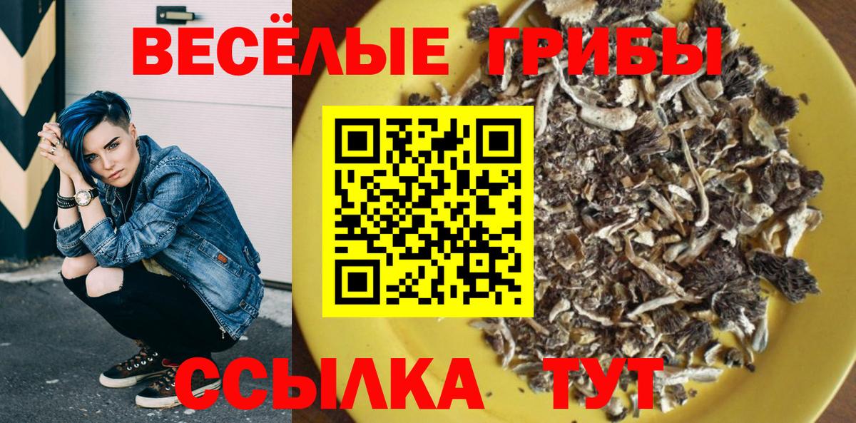 Галлюциногенные грибы Psilocybine cubensis Пушкино