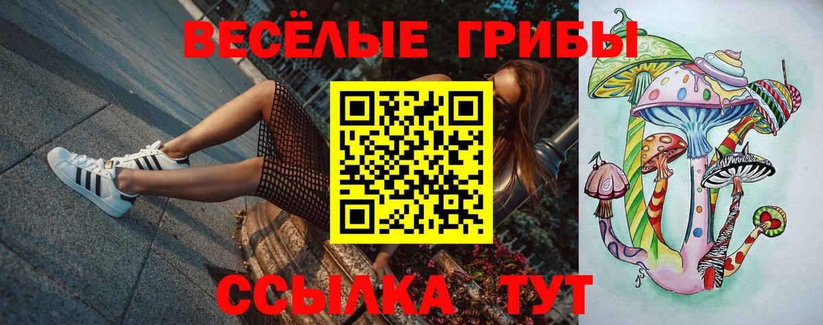 Галлюциногенные грибы Magic Shrooms  Вход с VPN  магазин продажи   Пушкино 